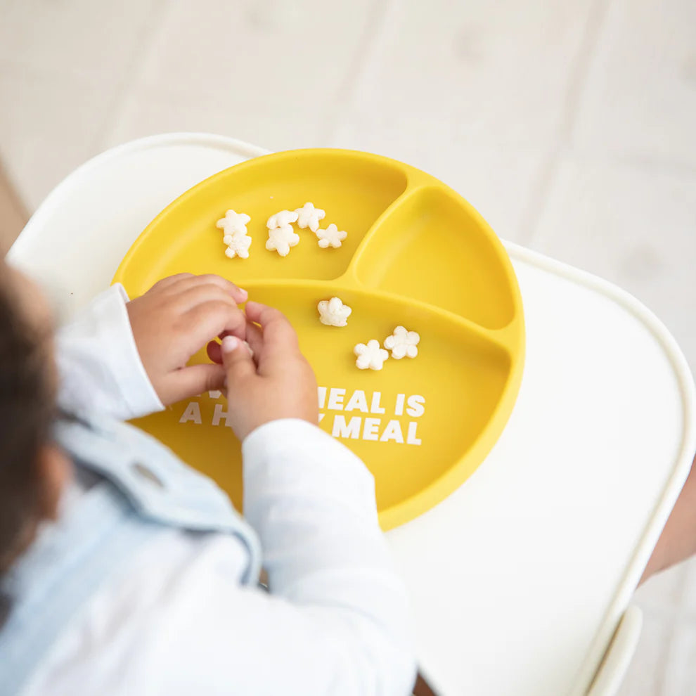 Wonder Plate - Happy Meal