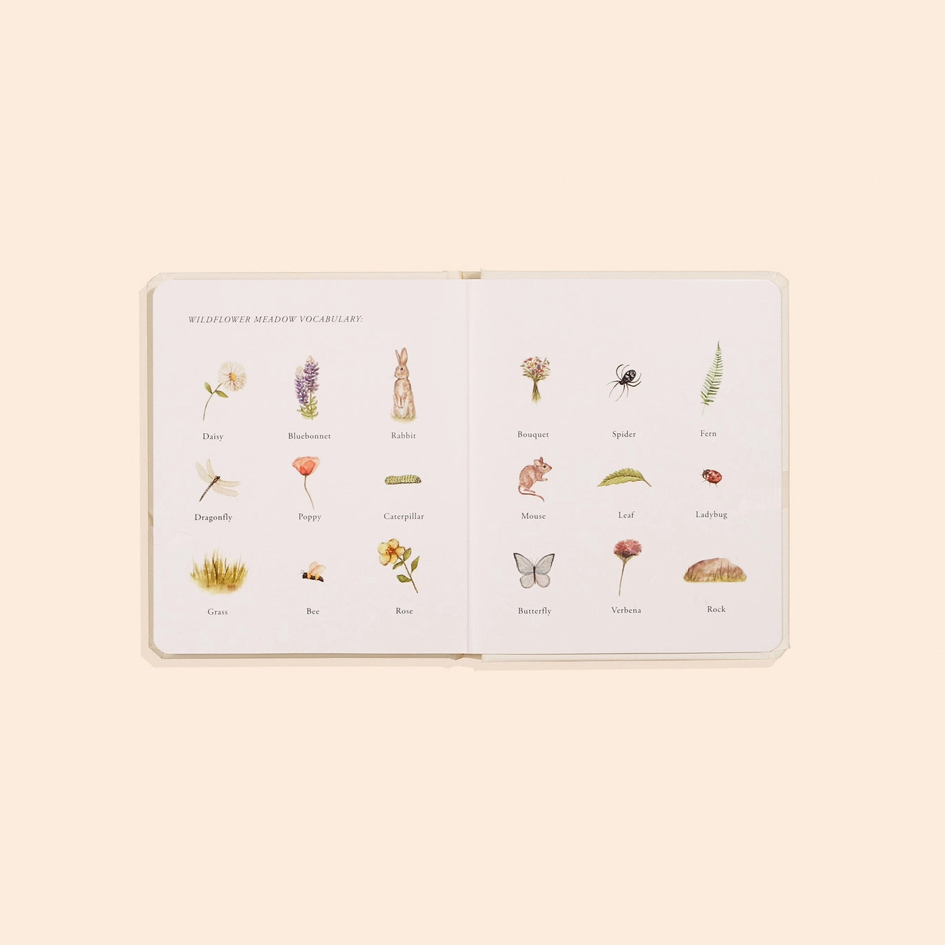 our little adventures box set for kids