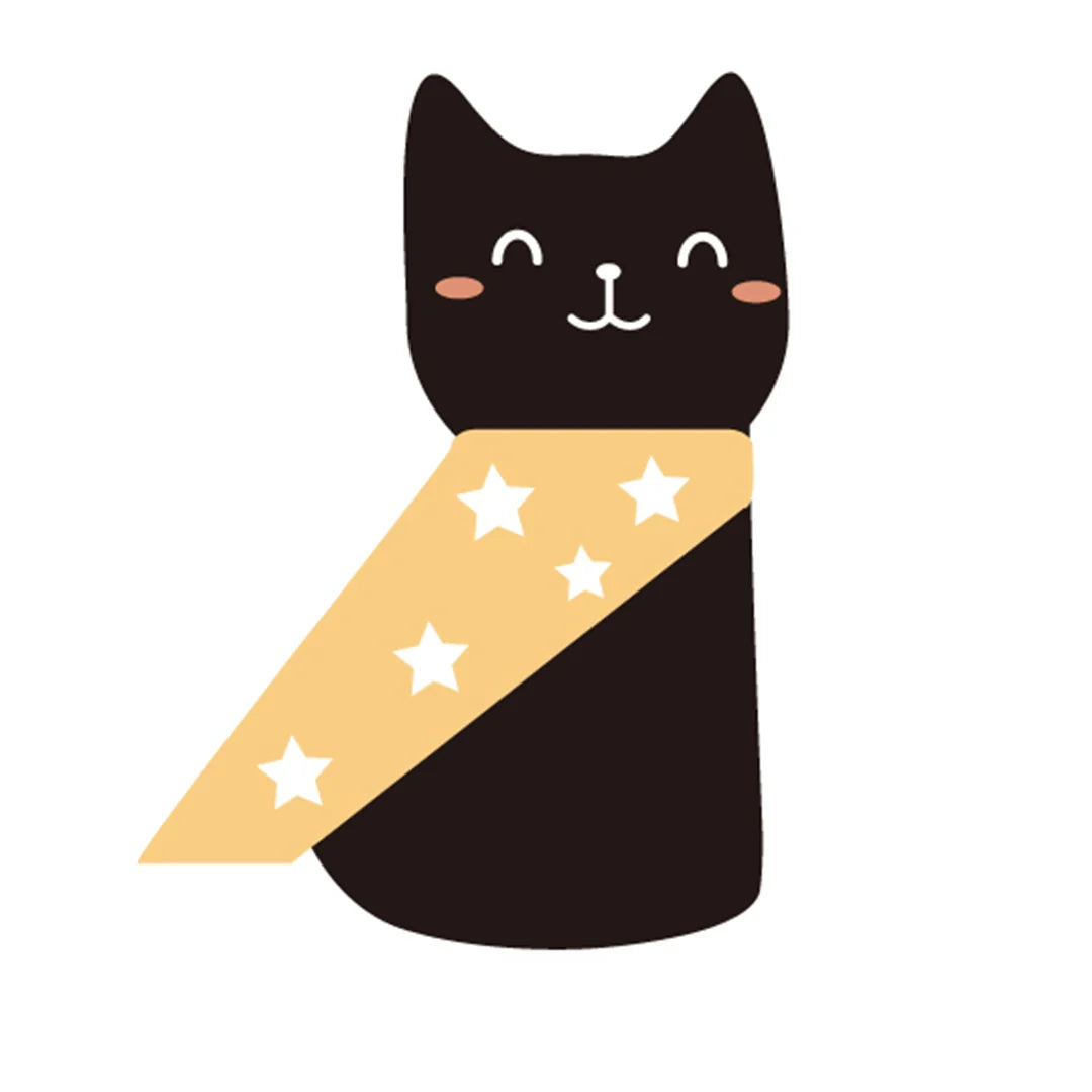 black cat halloween pillow