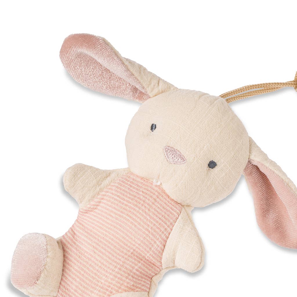 Bitzy Pal - Natural Rubber Pacifier & Plush
