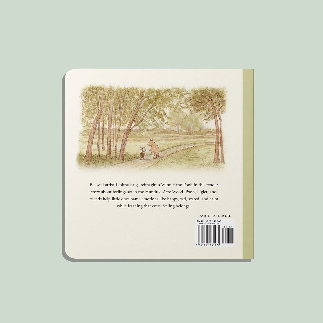 Winnie-The-Pooh: Finding Feelings