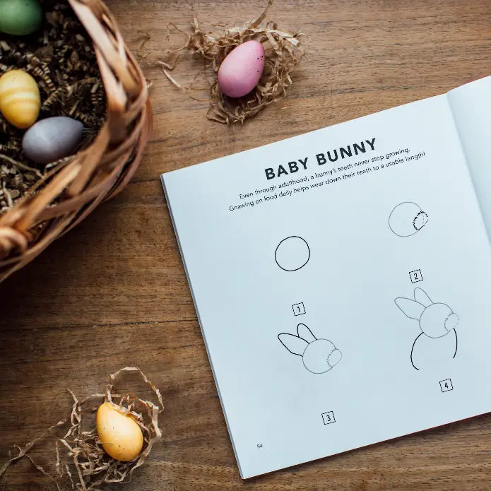 how to draw: spring things