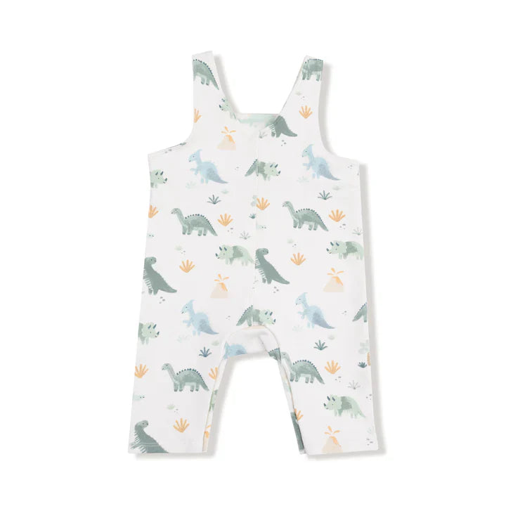 soft dinos - overalls
